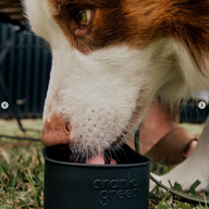 Frank Green Silicone Pet Bowl - Midnight