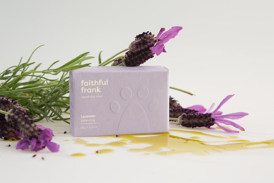 Faithful Frank Natural Dog Soaps - Balancing Lavender